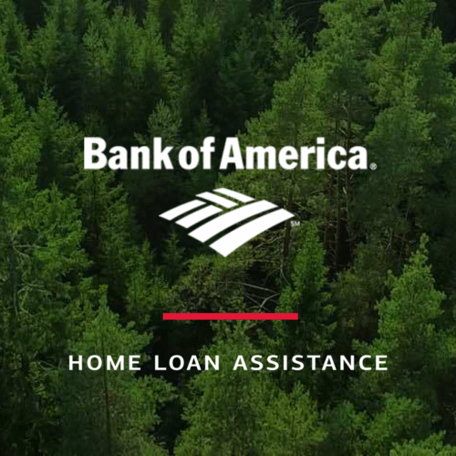 Bank of America Home Loan Assistance campaign graphic with logo over a forest background. Portfolio work by copywriter Paul Baker, who developed clear, empathetic content strategy during the sub-prime crisis to guide homeowners through over 30 loan assistance programs.