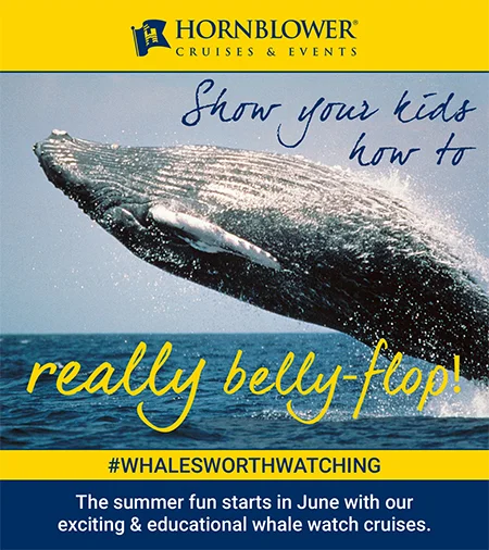 Whale breaching sideways into the ocean with playful caption “Show your kids how to really belly-flop!” Portfolio campaign work by Paul Baker for Hornblower Cruises, highlighting family-friendly whale watching adventures.