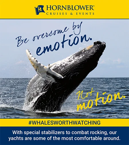 Humpback whale leaping from the ocean with campaign tagline “Be overcome by emotion. Not motion.” Portfolio work by Paul Baker for Hornblower Cruises’ social campaign, emphasizing excitement and comfort on board.